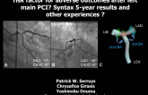 Is the distal bifurcation an independent risk factor for adverse outcomes after left main PCI? SYNTAX 5-year results and other experiences