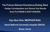 The Promus Element Everolimus-Eluting Stent: Design Considerations and Clinical Trial Results (from PLATINUM to HOST-ASSURE)