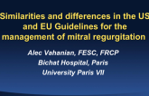 Similarities and Essential Differences in the US and EU Valve Guidelines for Management of Mitral Regurgitation