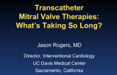Transcatheter Mitral Valve Therapies:  What's Taking So Long?