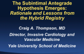 The Subintimal Antegrade Hypothesis Emerges: Rationale and Lessons from the Hybrid Registry