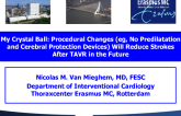 My Crystal Ball: Procedural Changes (eg, No Predilatation and Cerebral Protection Devices) Will Reduce Strokes After TAVR in the Future