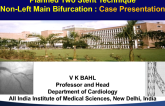 Planned 2-Stent Non-left Main Technique Case Presentation Case #2