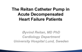 Reitan pump