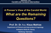 A Pioneer's View of the Carotid World: What are the Remaining Questions?