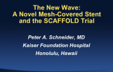 The Next Wave: A Novel Mesh-Covered Stent and the SCAFFOLD Trial