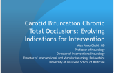 Carotid Bifurcation Chronic Total Occlusions: Evolving Indications for Intervention