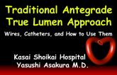 Traditional Antegrade True Lumen Approach I: Wires, Catheters, and How to Use Them