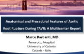Anatomical and Procedural Features of Aortic Root Rupture During TAVR: A Multicenter Report