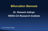Can Atherectomy Improve Bifurcation Stenting? Fox Hollow Experience