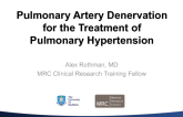 Radiofrequency Pulmonary Artery Denervation for Pulmonary Hypertension: Hemodynamic Results and Pathologic Insights from a Porcine Model