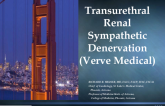 Trans-ureteral Renal Sympathetic Denervation (Verve Medical)
