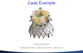 Case Examples(2)