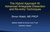 The Hybrid Approach III: Advanced Antegrade Dissection and Re-entry Techniques