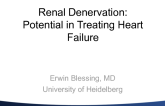 Renal Denervation: Potential in Treating Heart Failure