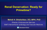 Renal Denervation: Ready for Primetime?
