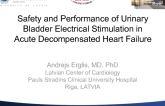Safety and Performance of Urinary Bladder Electrical Stimulation in Acute Decompensated Heart Failure