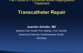 Transcatheter Repair!