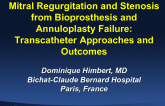 Mitral Regurgitation and Stenosis from Bioprosthesis and Annuloplasty Failure: Transcatheter Approaches and Outcomes