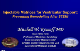 Injectible Matrices for Ventricular Support