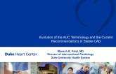 Evolution of the AUC Terminology, and Current Recommendations in Stable CAD