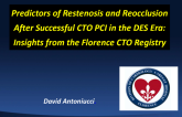 Predictors of Restenosis and Reocclusion After Successful CTO PCI in the DES Era: Insights from the Florence CTO Registry