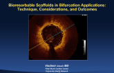 Bioresorbable Scaffolds in Bifurcation Applications: Technique Considerations and outcomes