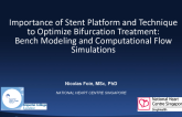 Importance of Stent Platform and Technique to Optimize Bifurcation Treatment: Bench Modeling and Computational Flow Simulations