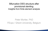 Bifurcation DES Structure after Provisional Stenting: Insights from Finite Element Analysis