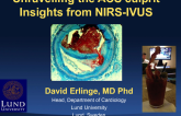 Unraveling the ACS Culprit: Insights from NIRS-IVUS
