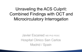 Unraveling the ACS Culprit: Combined Findings with OCT and Microcirculatory Interrogation