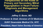 Perspectives on the Role of Primary and Secondary Mitral Regurgitation in Heart Failure: Diagnosis and Management Algorithms