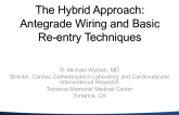 The Hybrid Approach II: Antegrade Wiring and Basic Re-entry Techniques