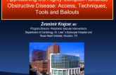 Approaching the Highly Complex Aortoiliac Obstructive Disease: Access, Techniques, Tools, and Bailouts