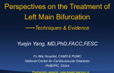 Spot Lecture: Perspectives on the Treatment of Left Main Bifurcations