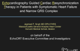 Cardiac Resynchronization Therapy in Narrow QRS Patients: The EchoCRT Trial