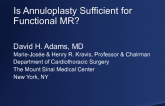 Is Annuloplasty Sufficient for Functional MR? Role of Subannular and Other Techniques