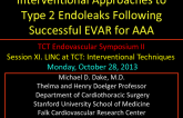 Interventional Approaches to Type 2 Endoleaks Following Successful EVAR for AAA