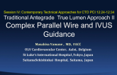 Traditional Antegrade True Lumen Approach II: Complex Parallel Wire and IVUS Guidance