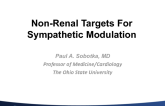 Non-Renal Targets for Sympathetic Modification