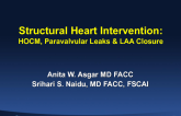 Structural Intervention: LAA Closure, HOCM, Paravalvular Leak