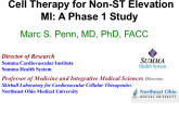 Cell Therapy for Non-ST Elevation MI: A Phase 1 Study