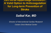 Left Atrial Appendage Occlusion: A Valid Option to Anticoagulation for Long-term Prevention of Stroke