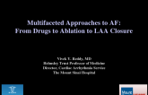 Introduction: Multifaceted Approaches to Atrial Fibrillation: From Drugs to Ablation to Left Atrial Appendage Closure