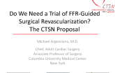 Do We Need a Trial of FFR-Guided Surgical Revascularization? The CTSN Network Proposal