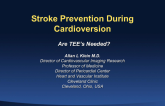Stroke Prevention During Cardioversion: Are TEEs Needed?