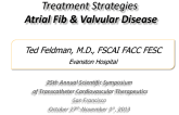 Treatment Strategies in Patients with Atrial Fibrillation and Valvular Heart Disease