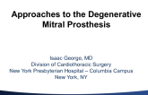 Approaches to the Degenerative Mitral Prosthesis
