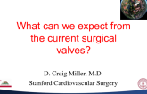 What Can We Expect from the Current Surgical Valves?