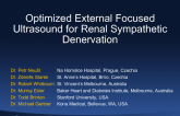 TCT-61. Optimized External Focused Ultrasound for Renal Sympathetic Denervation – Wave II trial